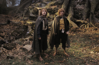 Imagen de El señor de los anillos: las dos torres (versión extendida) - 6