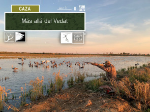 Más allá del vedat