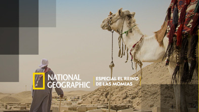 Imagen de Especial el reino de las momias  - 2