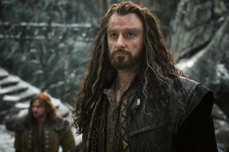 Imagen de El hobbit: la batalla de los cinco ejércitos (versión extendida) - 10