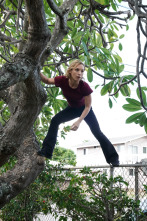 Imagen de Magnum (T3): Ep.13 Lágrimas y sangre - 1