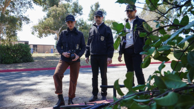 Imagen de NCIS: Naval... (T18): Ep.13 Conducta impropia - 2