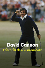 Imagen de David Cannon, historia de un momento - 1