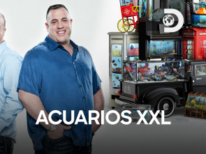 Acuarios XXL (T5): Magia en la NBA