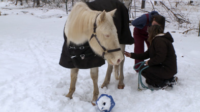 Imagen de El increíble doctor Pol: Fatiga post-parto - 1