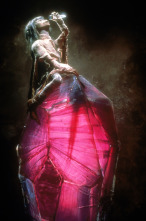 Imagen de Cristal oscuro - 10