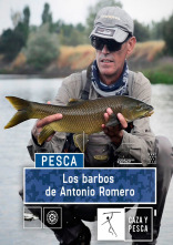 Imagen de Los barbos de Antonio Romero - 1
