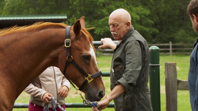Imagen de El increíble doctor Pol: ¡Descomunal, Pol! - 1