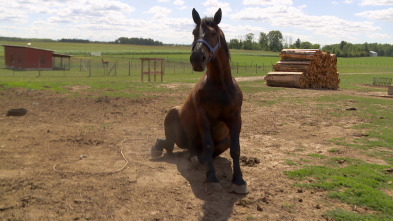 Imagen de El increíble doctor Pol: Las desgracias nunca vienen solas - 1