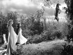 Imagen de Yo anduve con un zombie - 8