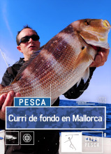 Imagen de Curri de fondo en Mallorca - 1