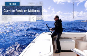 Imagen de Curri de fondo en Mallorca - 2