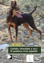 Imagen de Carbón, chocolate y oro: El podenco Orito - 1