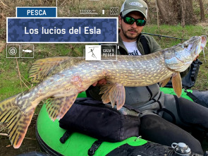 Imagen de Los lucios del Esla - 2