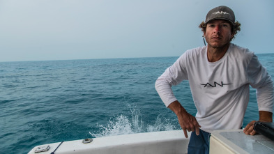 Imagen de El puente de los tiburones - 3