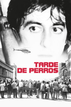 Imagen de Tarde de perros - 1