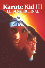 Imagen de Karate Kid III: el desafío final - 1