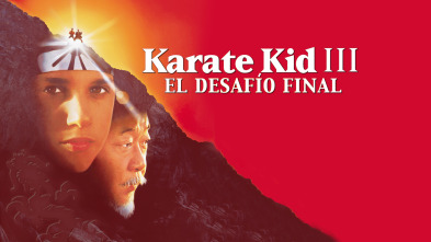 Imagen de Karate Kid III: el desafío final - 2