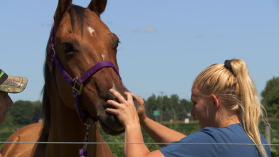 Imagen de El increíble doctor Pol: Un año más - 2