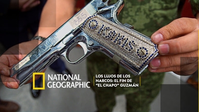 Imagen de Los lujos de los narcos: el fin de 