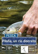 Piloña, un río discreto