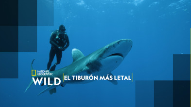 El tiburón más letal