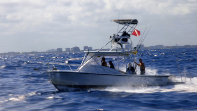 Imagen de Súper tiburón toro - 3
