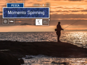 Momento Spinning (T1)