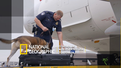 Control de aeropuertos: USA