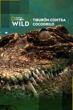 Imagen de Tiburón contra cocodrilo - 1