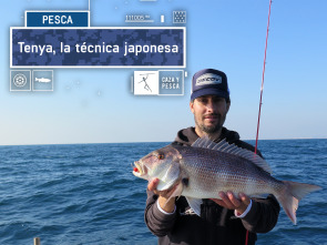 Imagen de Tenya, una técnica japonesa - 2