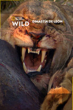 Imagen de Dinastía de león - 1