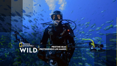 Imagen de Pristine Seas: Protegiendo los mares - 2