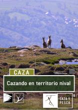Cazando en territorio nival