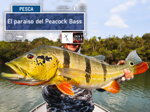 Imagen de El paraíso del Peacock Bass - 2