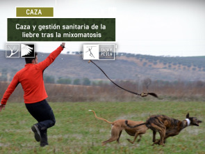 Imagen de Caza y gestión sanitaria tras la mixomatosis - 2