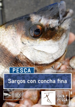 Imagen de Sargos con concha fina - 1