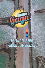 Radio Gaga (T6): Delta del Ebro: paraíso amenazado