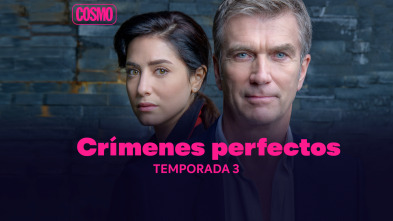 Crímenes perfectos