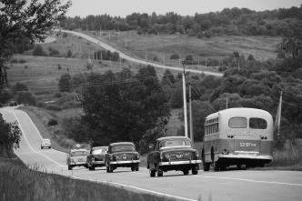 Imagen de Queridos camaradas - 12