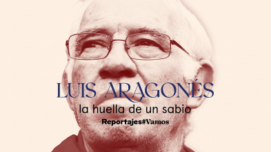 Luis Aragonés, la huella de un sabio