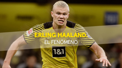 Goal! The... (21/22): Erling Haaland - a phenomenon