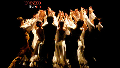 Imagen de Teatro Real de... (T2012): C(h)oeurs, Alain Platel - 2