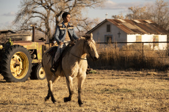 Imagen de Cry Macho - 13