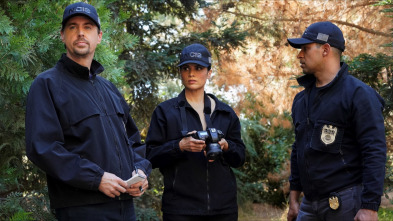 Imagen de NCIS: Naval... (T19): Ep.5 Tiempos extraños - 5