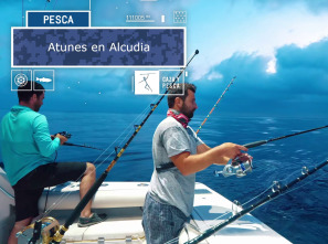 Imagen de Atunes en Alcudia - 2