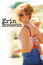 Imagen de Erin Brockovich - 1