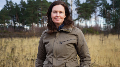 Imagen de Universo  - 3