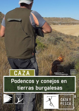 Podencos y conejos en tierras burgalesas