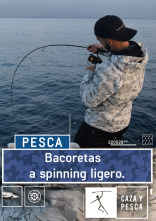 Imagen de Bacoretas a spinning ligero - 1